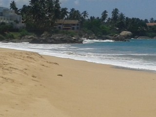Land for Sale in Balapitiya