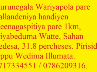 Kurunegala Wariyapola pare Pallandeniya handiyen Keenagaspitiya pare 1km, Diyabeduma Watte, Sahan Pedesa, 31.8 percheses. Pirisidu Oppu Wedima Illumata.
