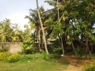 Near the beach Land and house sale