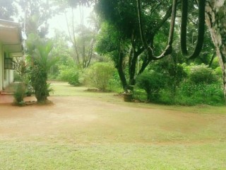 2 homes and land sale