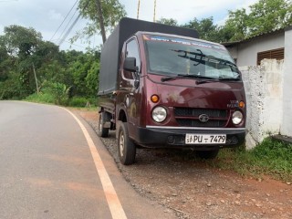 Dimo Batta for Sale