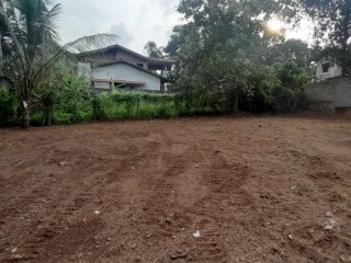 අගනා ඉඩමක් විකිණීම සදහා