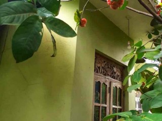 Home and Land Sale