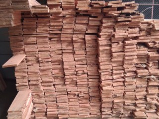 Red Lunumidella (Best quality) - Finished for paint.