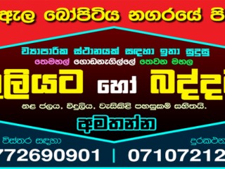 Building For Rent In Ja-Ela (Bopitiya Town)