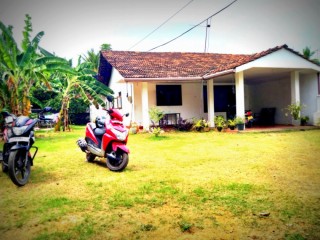House for rent in Udammita - Jaela