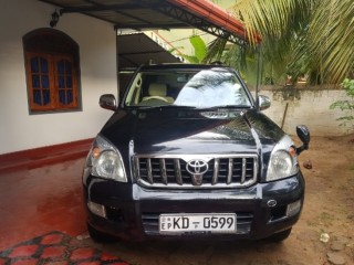 Prado 2006